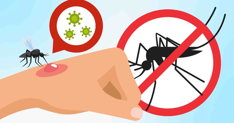 phan biet sot xuat huyet va chikungunya