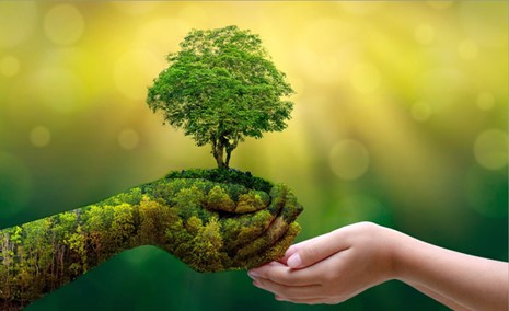 CHỦ ĐỘNG ỨNG PHÓ SỰ CỐ MÔI TRƯỜNG DO CHẤT THẢI Y TẾ:  BẢO VỆ SỨC KHỎE, AN TOÀN BỆNH VIỆN