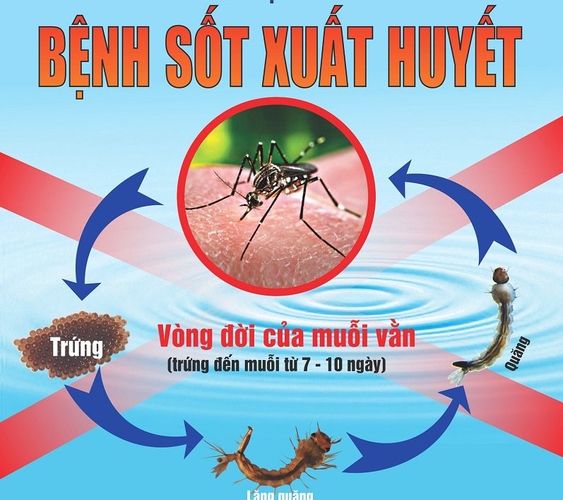 Phòng chống bệnh sốt xuất huyết