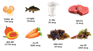 ngay vi chat dinh duong –  nho vitamin a bao ve tre khoe manh!